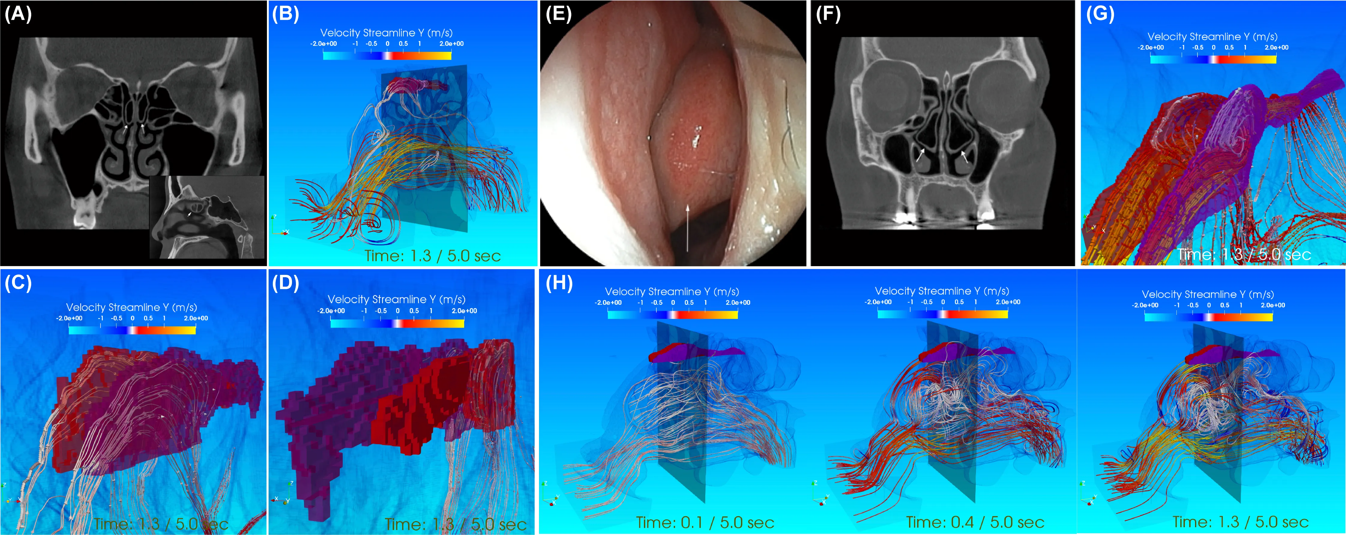 PLOS ONE 2022 Fig 4(pone.0262579)